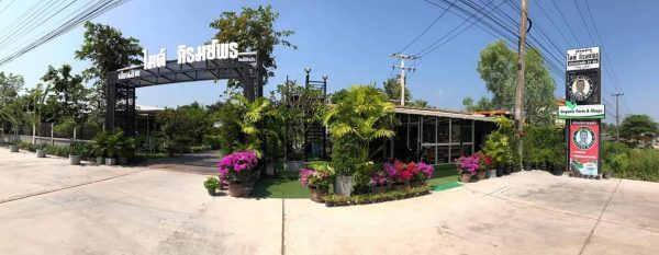 บ้านสำเร็จรูป MK23 - Image 3